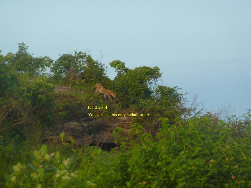 Silent Bungalow Удавалаве Экстерьер фото