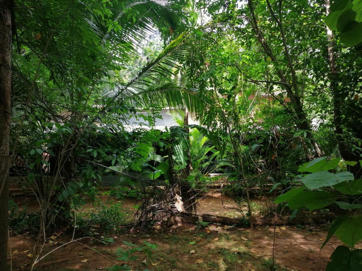 Silent Bungalow Удавалаве Экстерьер фото